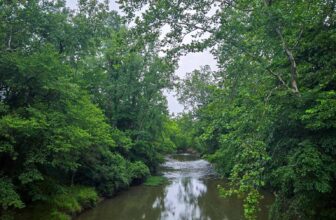 The Little Issues E-newsletter #478 – Life, laughter, plenty of nice meals!