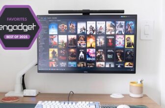 The most effective gaming displays in 2025