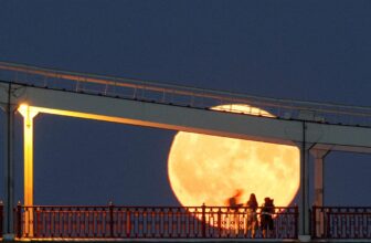 Why on Earth would NASA construct a nuclear reactor on the Moon?